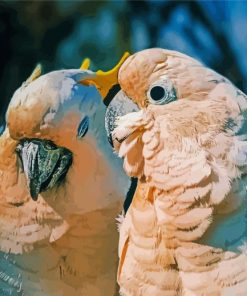 Cockatoos Couple Birds paint by numbers