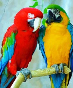 Colorful Amazon Parrots Birds paint by numbers