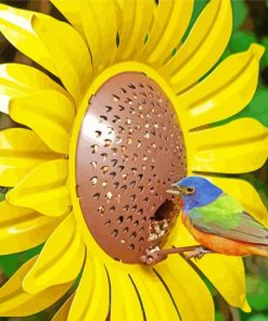 Colorful Bird on Sunflowers paint by numbers