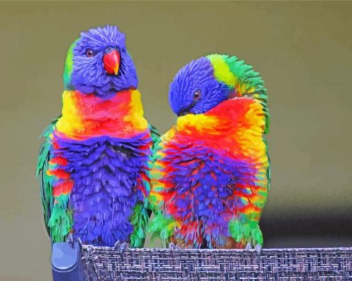 Colorful Cockatoos Birds paint by numbers