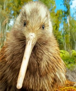 Cute Kiwi Bird paint by numbers