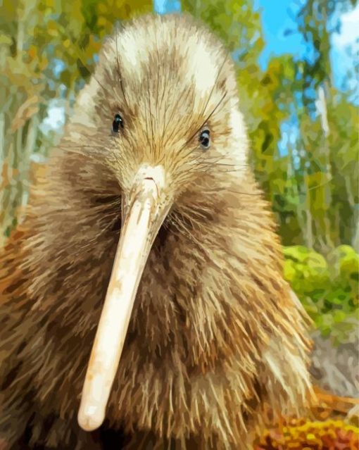 Cute Kiwi Bird paint by numbers