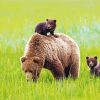 Cute Mama Bear and Cubs paint by numbers