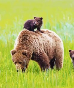 Cute Mama Bear and Cubs paint by numbers