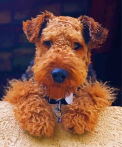 Cute Welsh Terrier paint by numbers