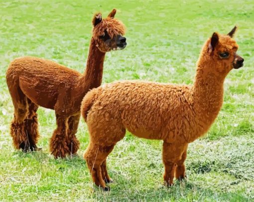 Cute Brown Llamas paint by numbers