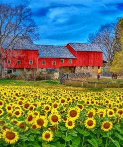 Field of Sunflowers paint by numbers