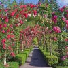 Flowering Butchart Gardens paint by numbers