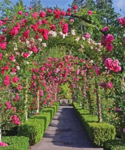 Flowering Butchart Gardens paint by numbers