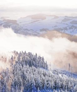 Fog in Snowy Forest Winter paint by numbers