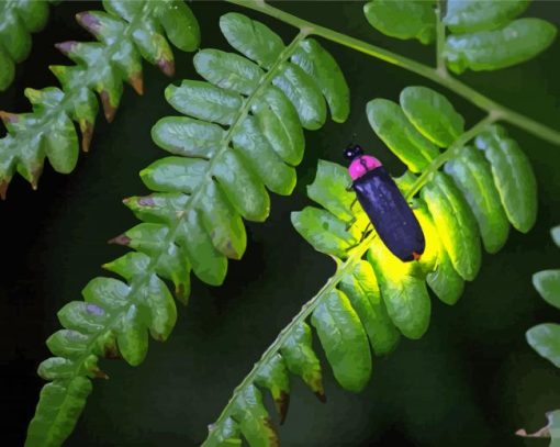 Glowing Fireflies paint by numbers