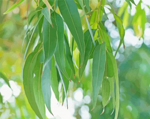 Green Eucalyptus Leaves paint by numbers