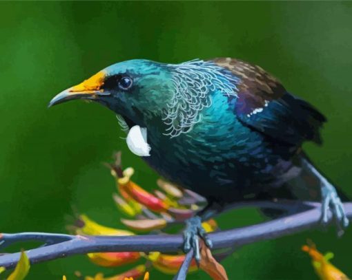 Honeyeater Tui on Branch paint by numbers