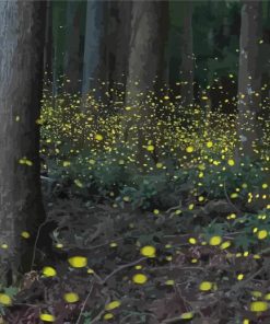 Landscape Fireflies paint by numbers