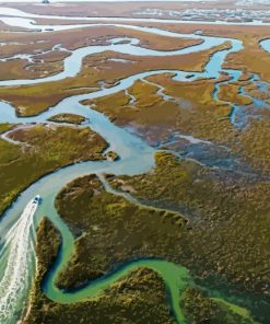 Lowcountry Marsh Aerial paint by numbers