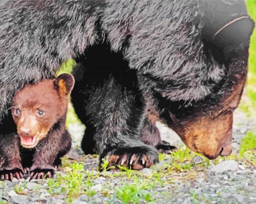 Mama Bear and Cub paint by numbers