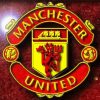 Manchester United Logo paint by numbers