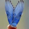 Mountain Bluebird Wings paint by numbers