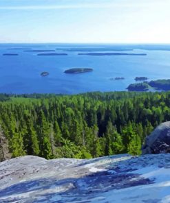 National Park Koli paint by numbers