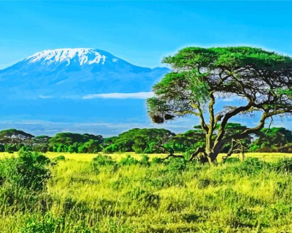 Nature Kenya Landscape paint by numbers