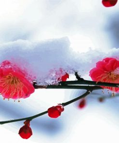 Pink Winter Snow Flowers paint by numbers