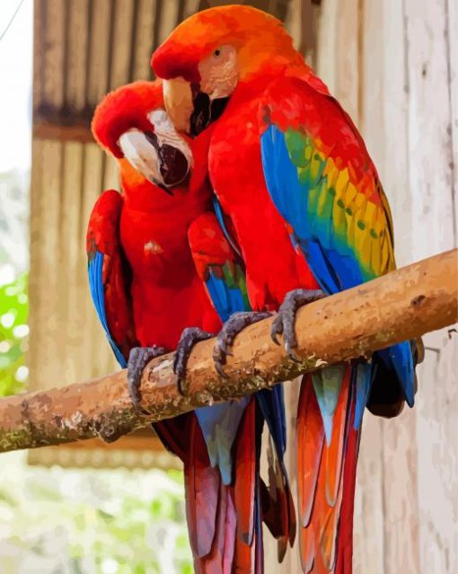 Red Amazon Parrots Birds paint by numbers