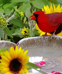 Red Bird and Sunflowers paint by numbers