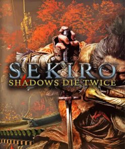 Sekiro Game Poster paint by numbers