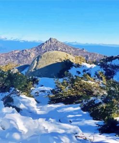 Snowy Mount Buffalo paint by numbers