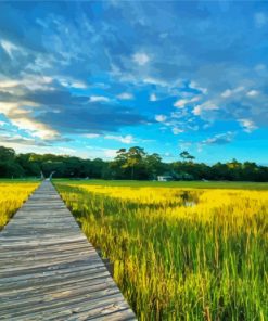 Southcarolina Lowcountry Walkroad paint by numbers