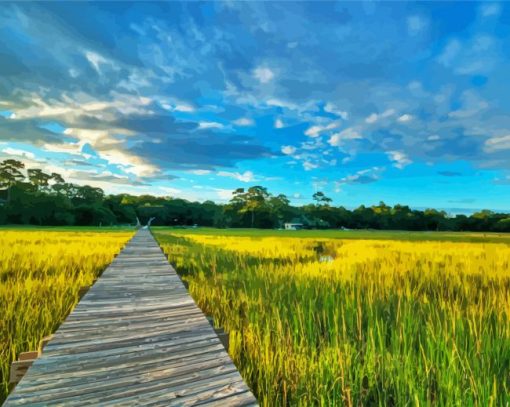 Southcarolina Lowcountry Walkroad paint by numbers