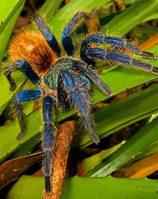 Tarantula on Leaves paint by numbers