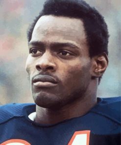 Walter Payton paint by numbers