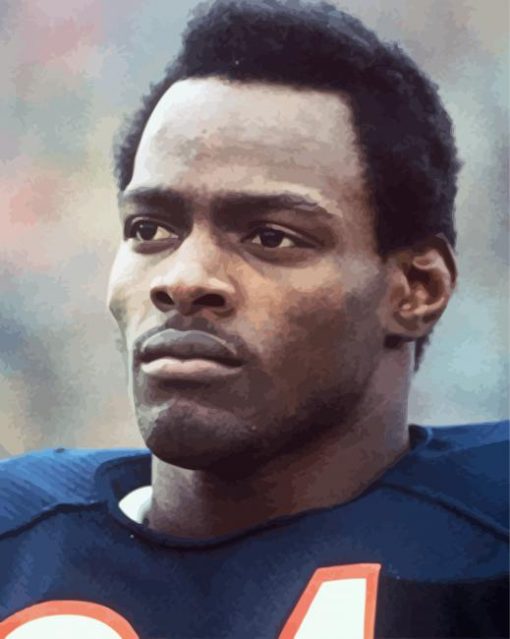 Walter Payton paint by numbers