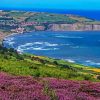 Whitby Seascape paint by numbers