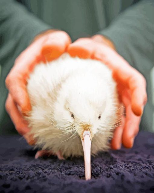 White Kiwi Bird paint by numbers