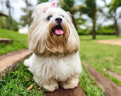 White Lhasa Apso Puppy paint by numbers