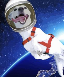 White Dog Astronaut paint by numbers