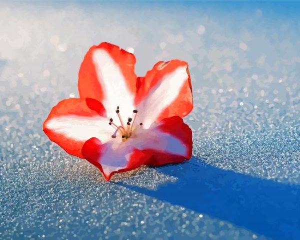 Winter Snow Flowers paint by numbers