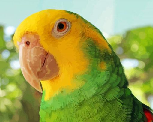 Yellow Head Amazon Parrot paint by numbers