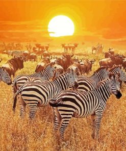 Zebra Serengeti Park Tanzania paint by numbers