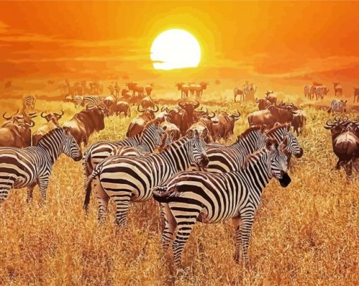 Zebra Serengeti Park Tanzania paint by numbers