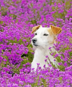 Puppy In Flowers Field paint by number