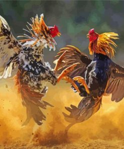 Aesthetic Roosters Fight paint by number