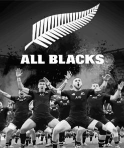 All Blacks Team paint by number