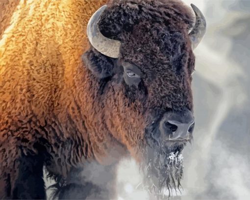 American Bison paint by number