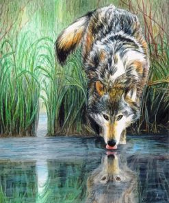 Animal Reflection Wolf paint by number