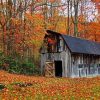 Autumn Barn paint by number