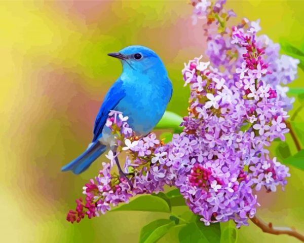 Blue Bird With Roses paint by number