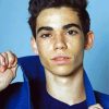 Cameron Boyce paint by number